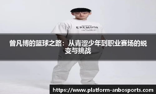 安博体育官方网站